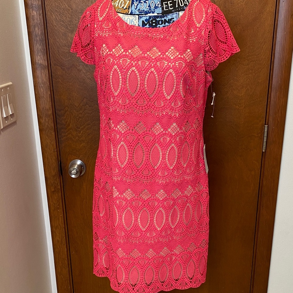 Eliza J ,  Lace Dress size 12 , NWT